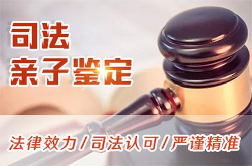 自贡司法DNA鉴定如何办理,自贡司法亲子鉴定预约流程